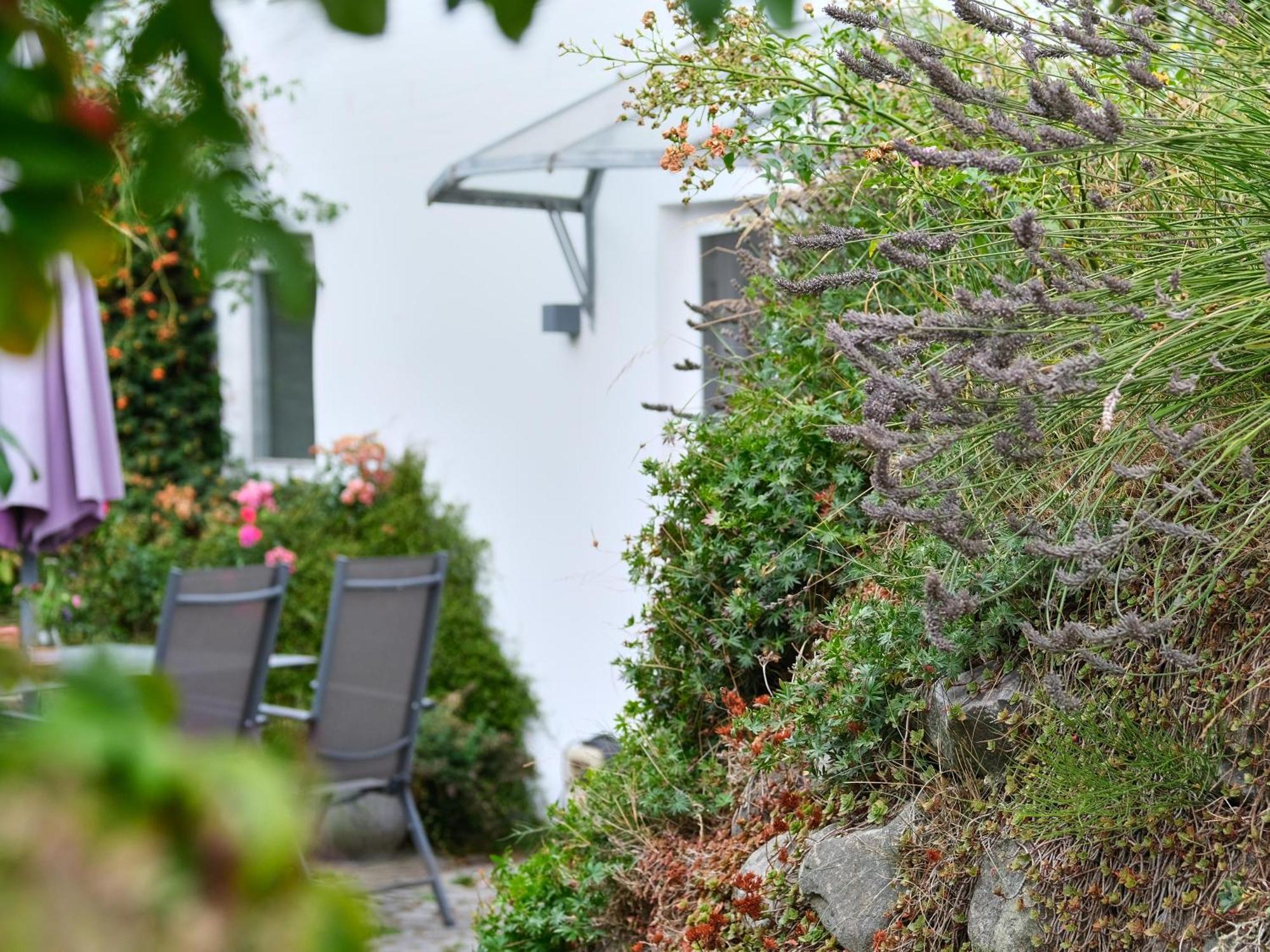 Ruhetal -Ferienwohnung Mit Sonnenterasse Glücksburg Kültér fotó